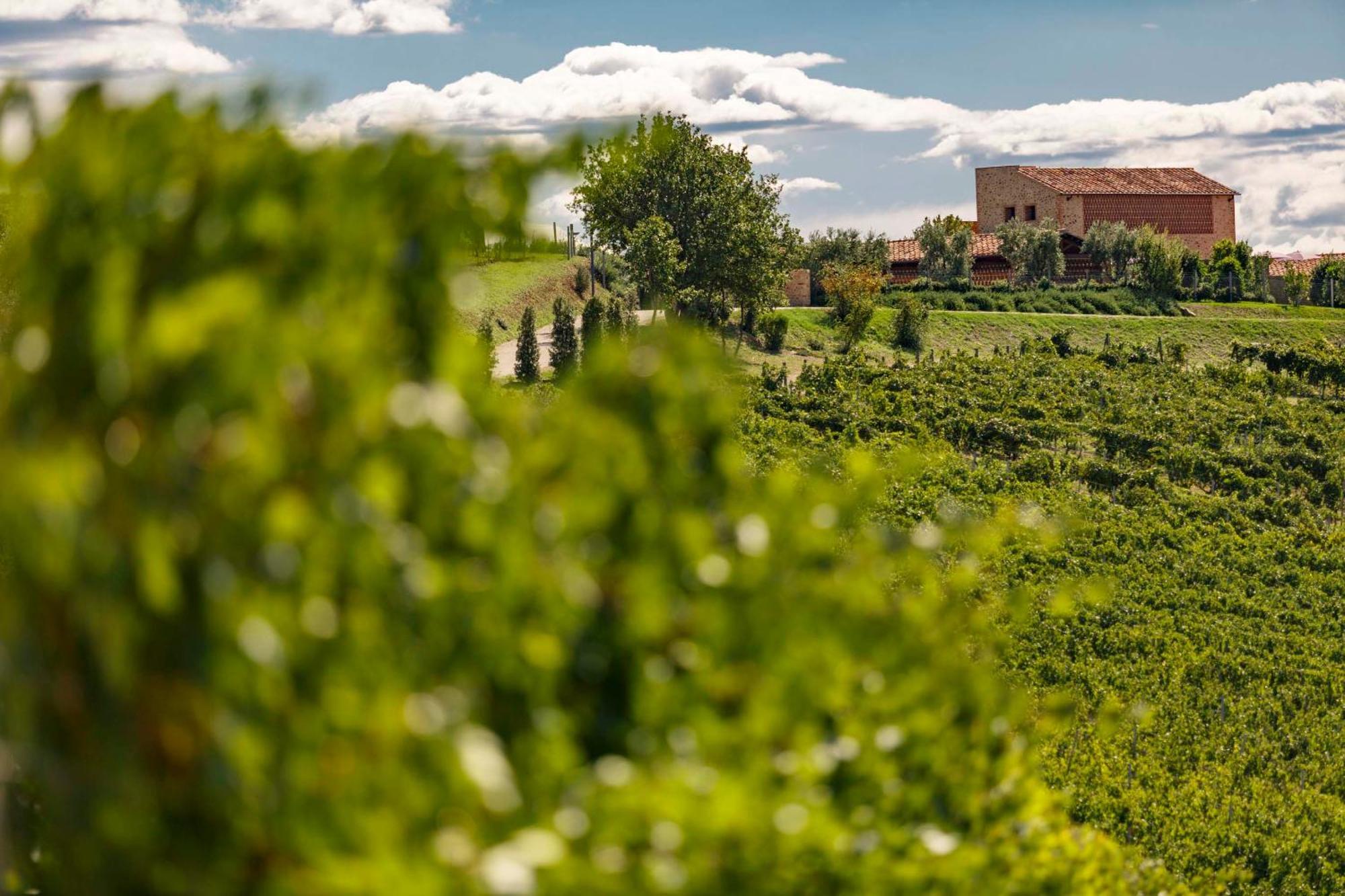 Tenuta Di Montecucco - Collemassari Hospitality Cinigiano Exterior foto